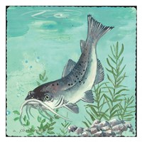 Catfish Fine Art Print