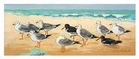 Seagulls and Sand Fine Art Print