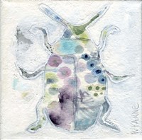 Lucky Beetle #1 Fine Art Print