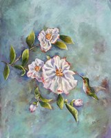 Hummingbird with Camellias Fine Art Print