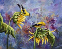 Finches with Sunflowers Fine Art Print