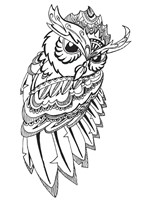 Flashing Owl Fine Art Print
