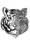Tiger Half And Half Fine Art Print