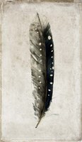 Feather 2 Fine Art Print