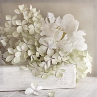 White Flower Book Fine Art Print