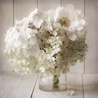 White Flower Vase Fine Art Print