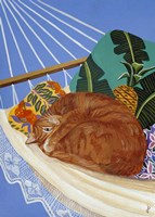 Catnapping In A Hammock Fine Art Print