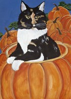 Matisse In A Pumpkin Fine Art Print