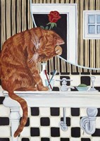 Washing Up Fine Art Print