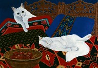 Pamuk And Pomegranates Fine Art Print