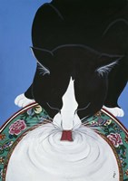 Lapping Milk From An Oriental Plate Fine Art Print