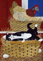 Good Place For A Nap Fine Art Print