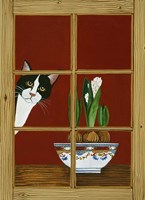 Anticipation Fine Art Print