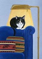 Catmandu Keeping Warm Fine Art Print