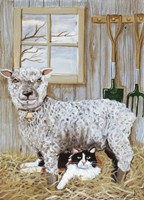 Sheep And Cat Fine Art Print