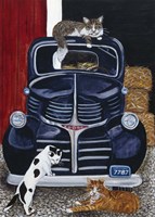 Ranch Cats Fine Art Print