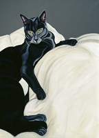 Spot On A Feather Bed Fine Art Print