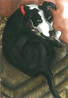 Daisy Fine Art Print