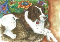 Chester Fine Art Print