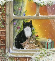 Christmas Window Fine Art Print