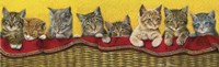 Eight Kittens In Basket Fine Art Print