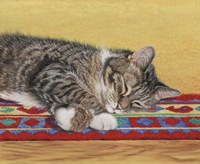 Sleepy Sam Fine Art Print