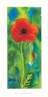 Papavero Fine Art Print