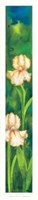 Iris in Fiore Fine Art Print