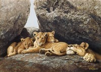 Lioness With Cubs Fine Art Print