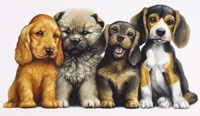 Young Dogs Fine Art Print