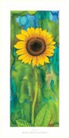 Girasole Fine Art Print