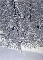Snow Tree With Magpies Fine Art Print