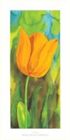 Tulipano Fine Art Print