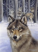 Wolfpack Fine Art Print