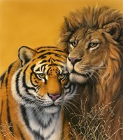 Lion & Tiger Fine Art Print