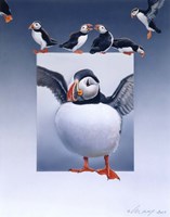 Puffins Fine Art Print