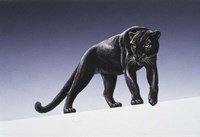 Black Panther Fine Art Print