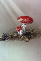 Mushrooms Fine Art Print