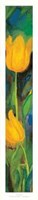 Tulipani Gialli Fine Art Print