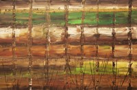 Window Panes Fine Art Print