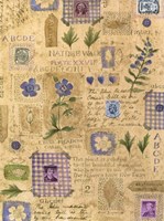 Nature Walk Fine Art Print