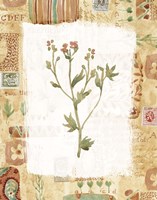 Orange Flower 2 Fine Art Print