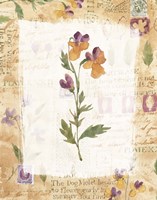 Dog Violet Fine Art Print