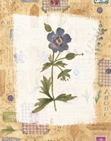 Blue Flower Fine Art Print