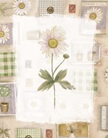Daisy Fine Art Print