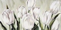 Tulipani Bianchi Fine Art Print