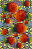 Pop Art Fish Fine Art Print