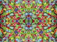 Flowers Pink 715 Fine Art Print