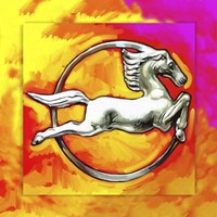 Pop Art Deco Horse Circle Fine Art Print