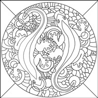 Salamanders Fine Art Print